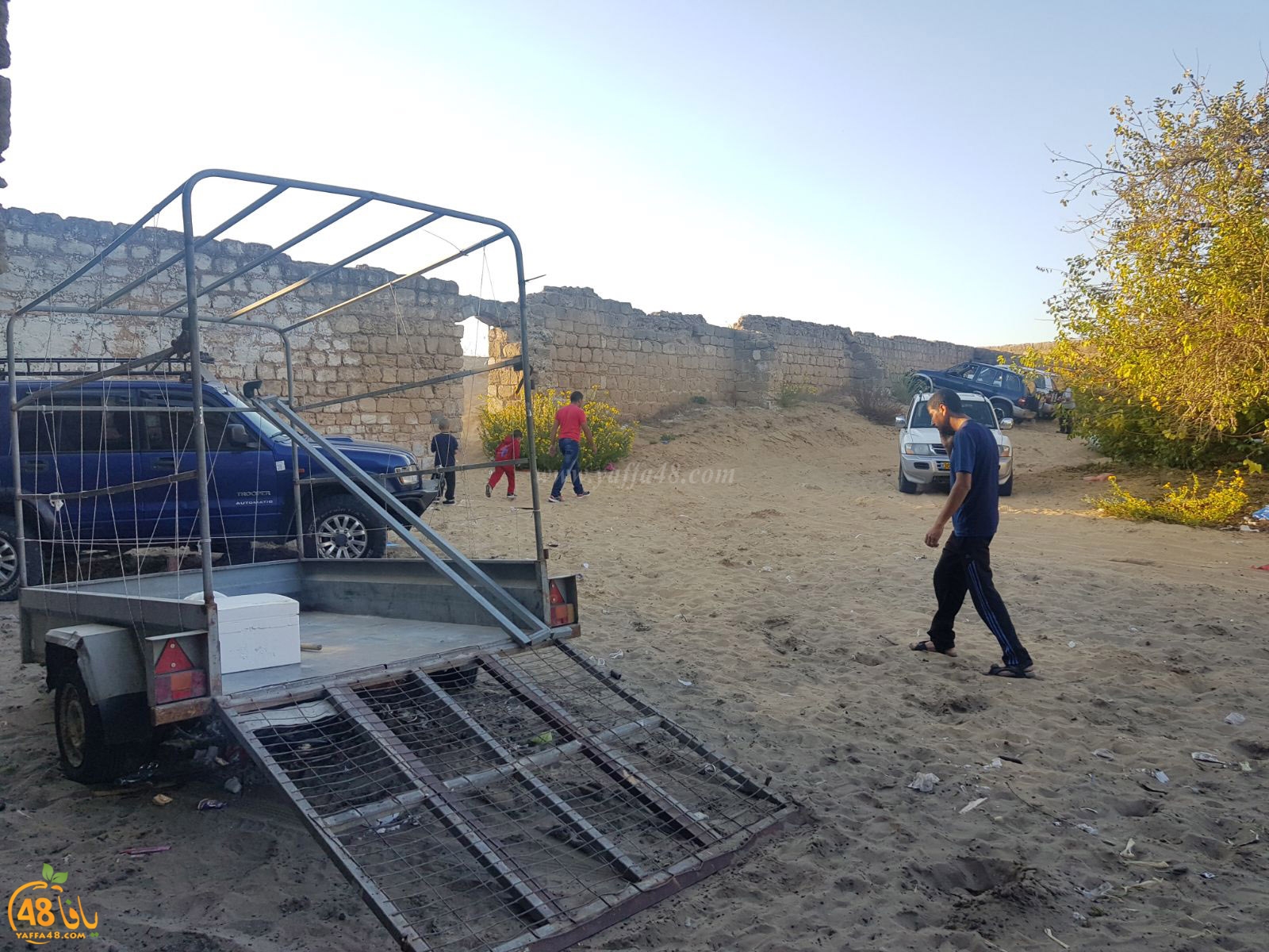 robenerejq (18).jpeg